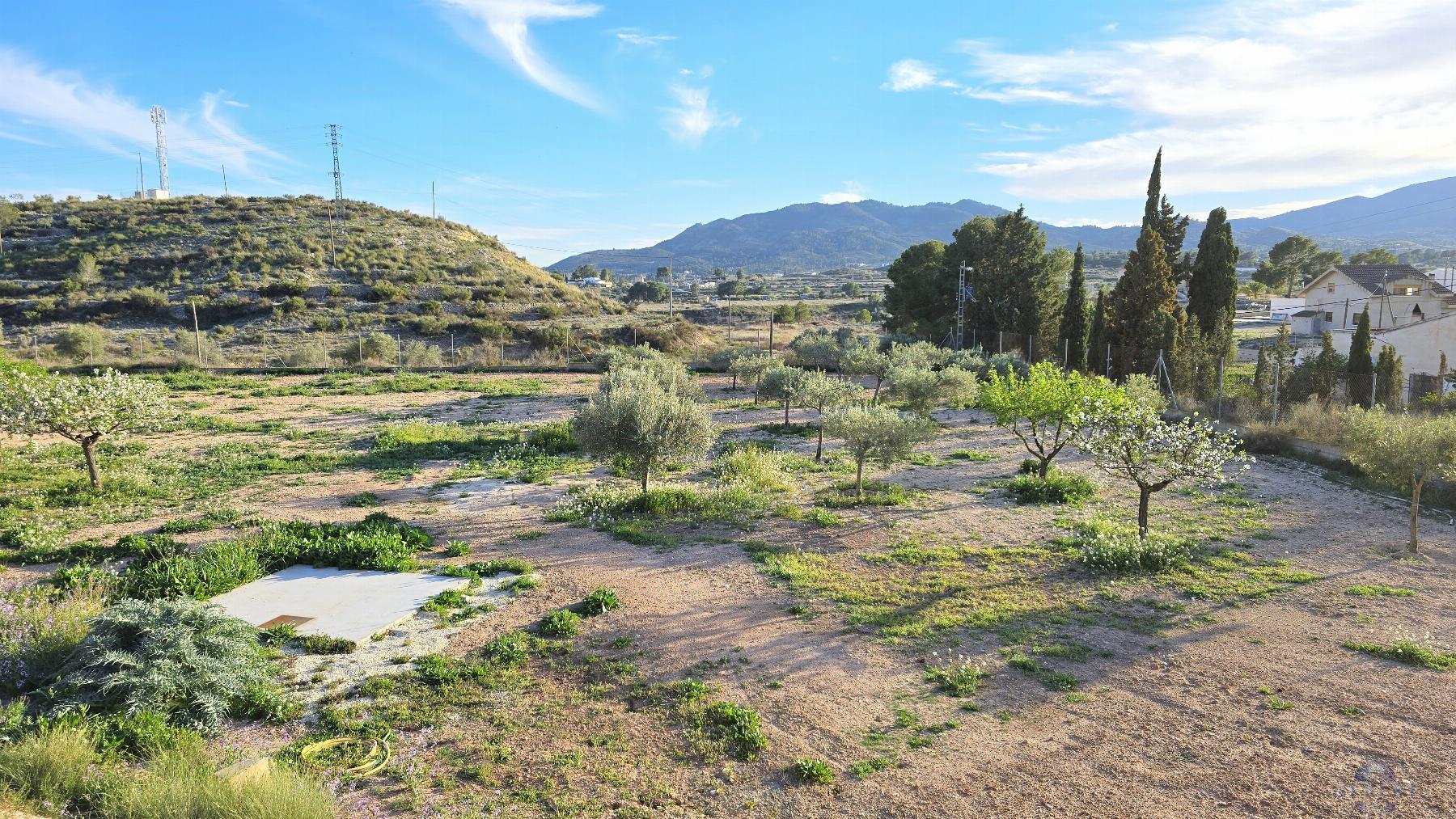 Venta de chalet en Monóvar-Monòver