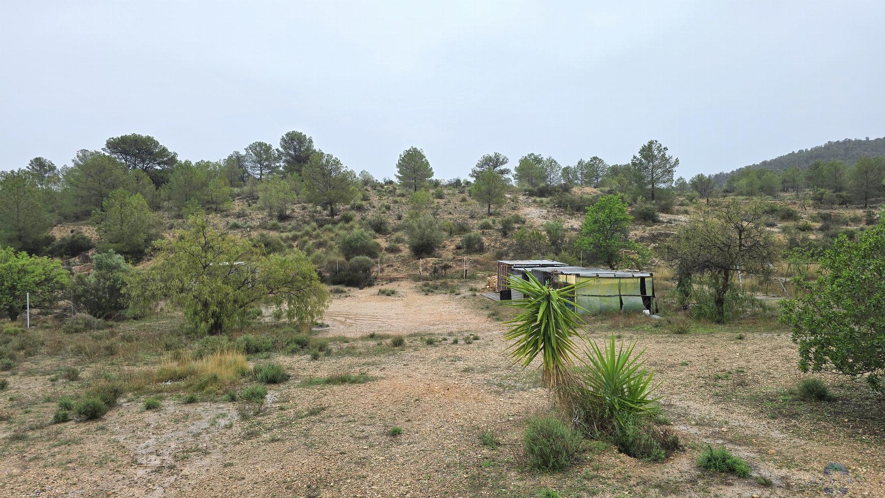 Venta de chalet en Monóvar-Monòver