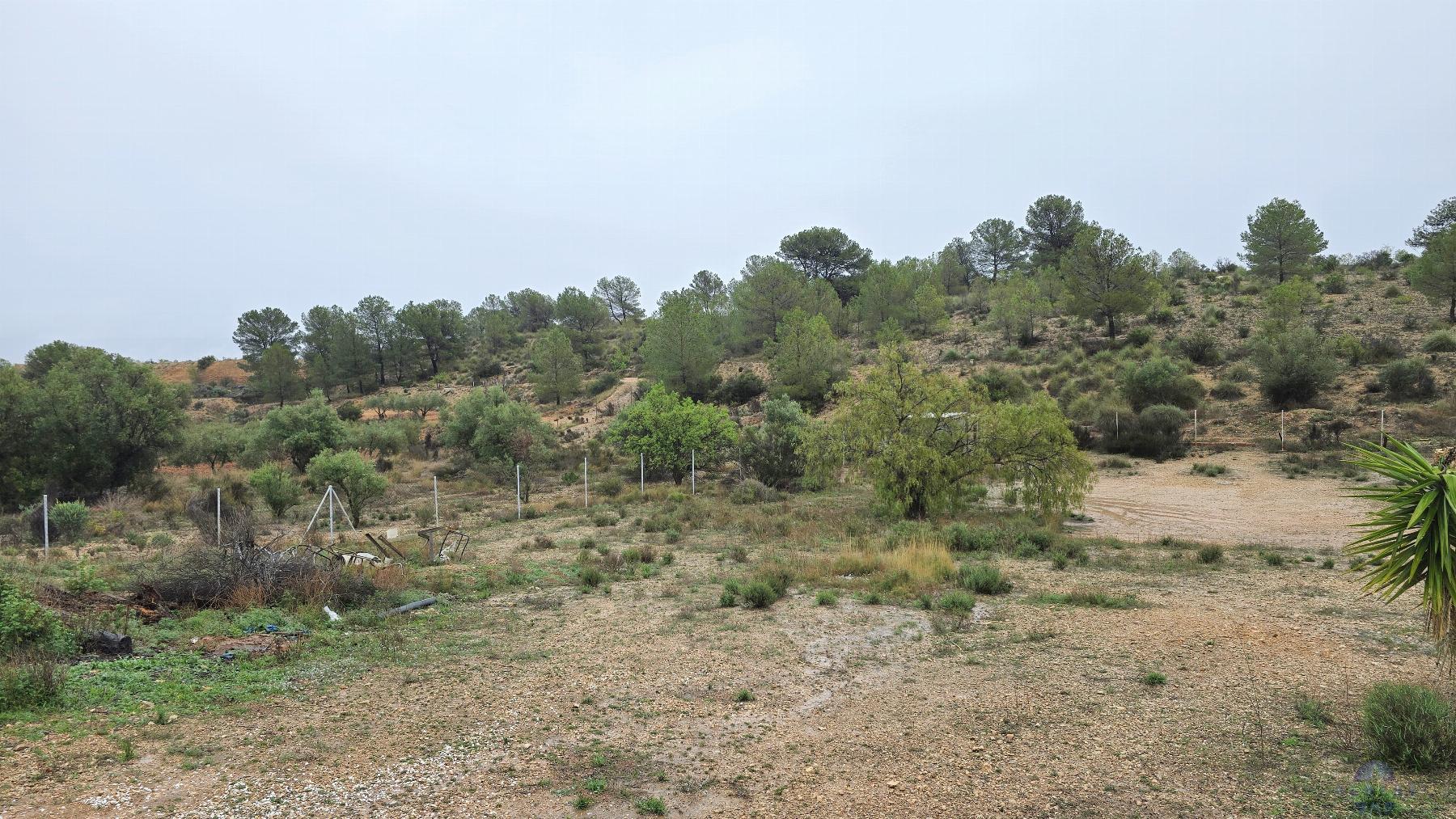 Venta de chalet en Monóvar-Monòver