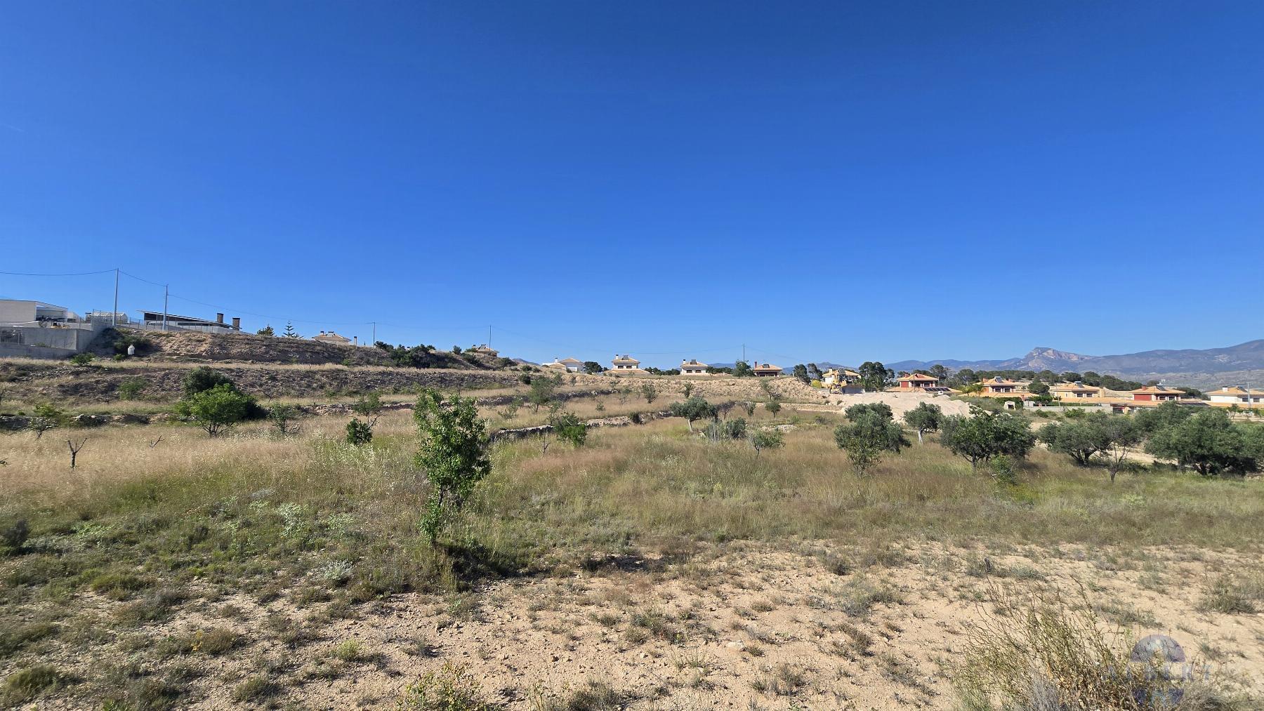 Venta de terreno en Monóvar-Monòver