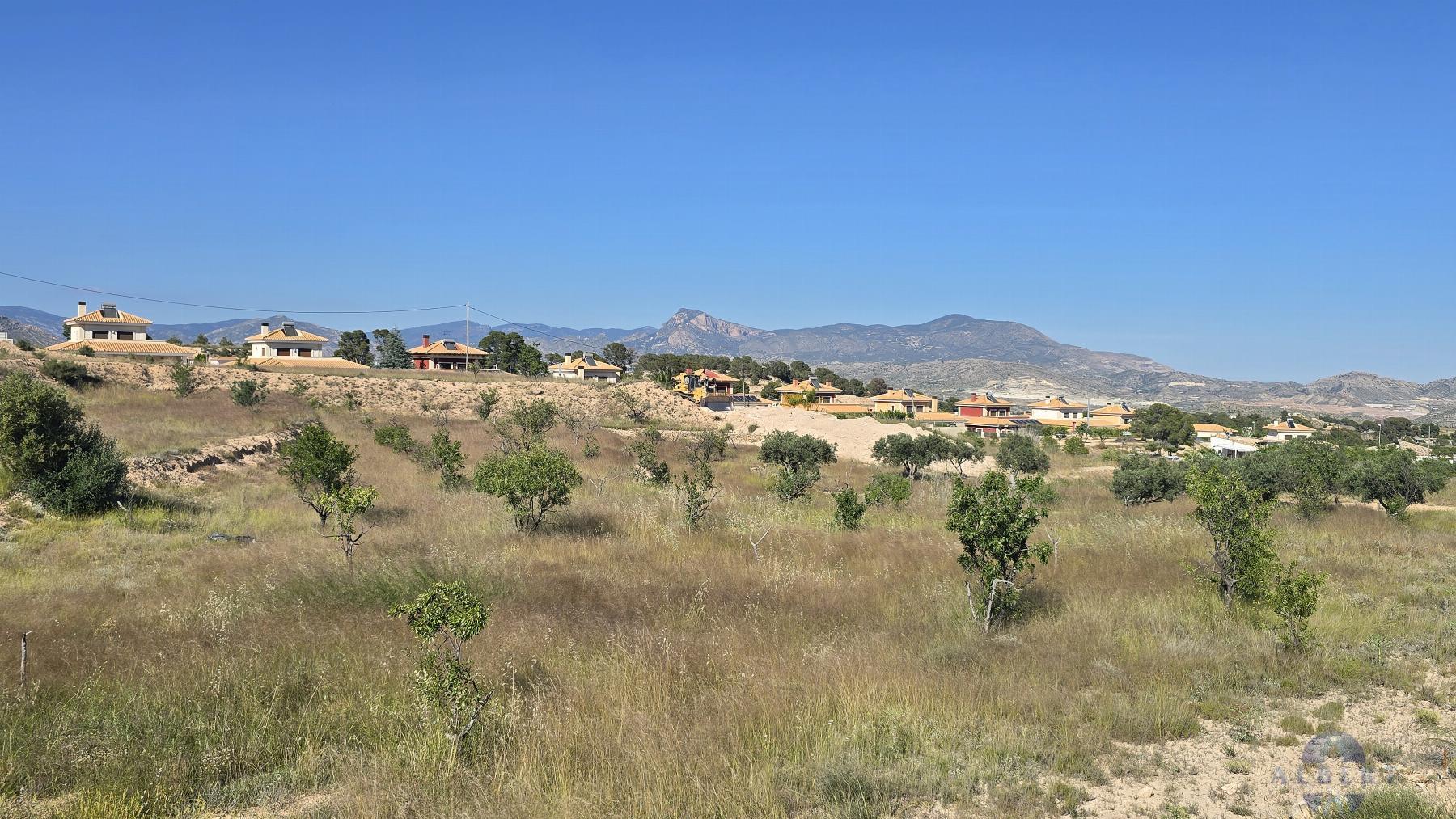 Venta de terreno en Monóvar-Monòver