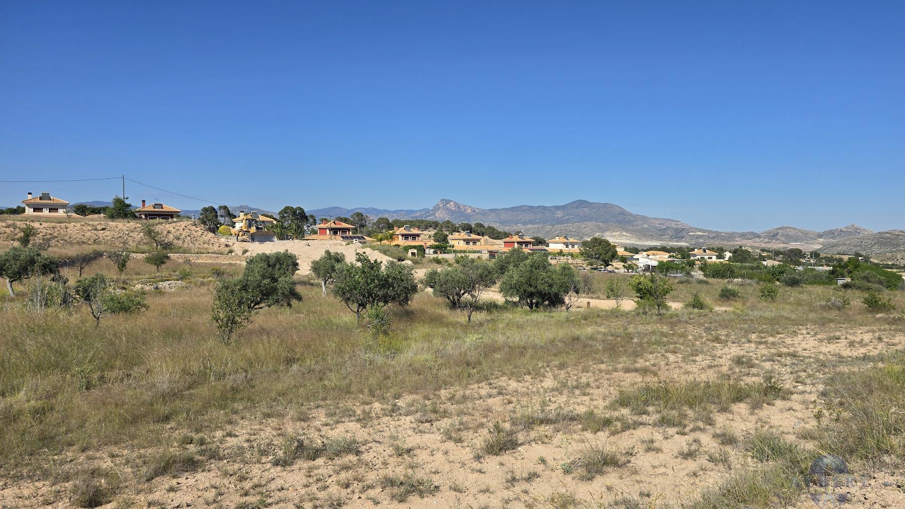 Venta de terreno en Monóvar-Monòver