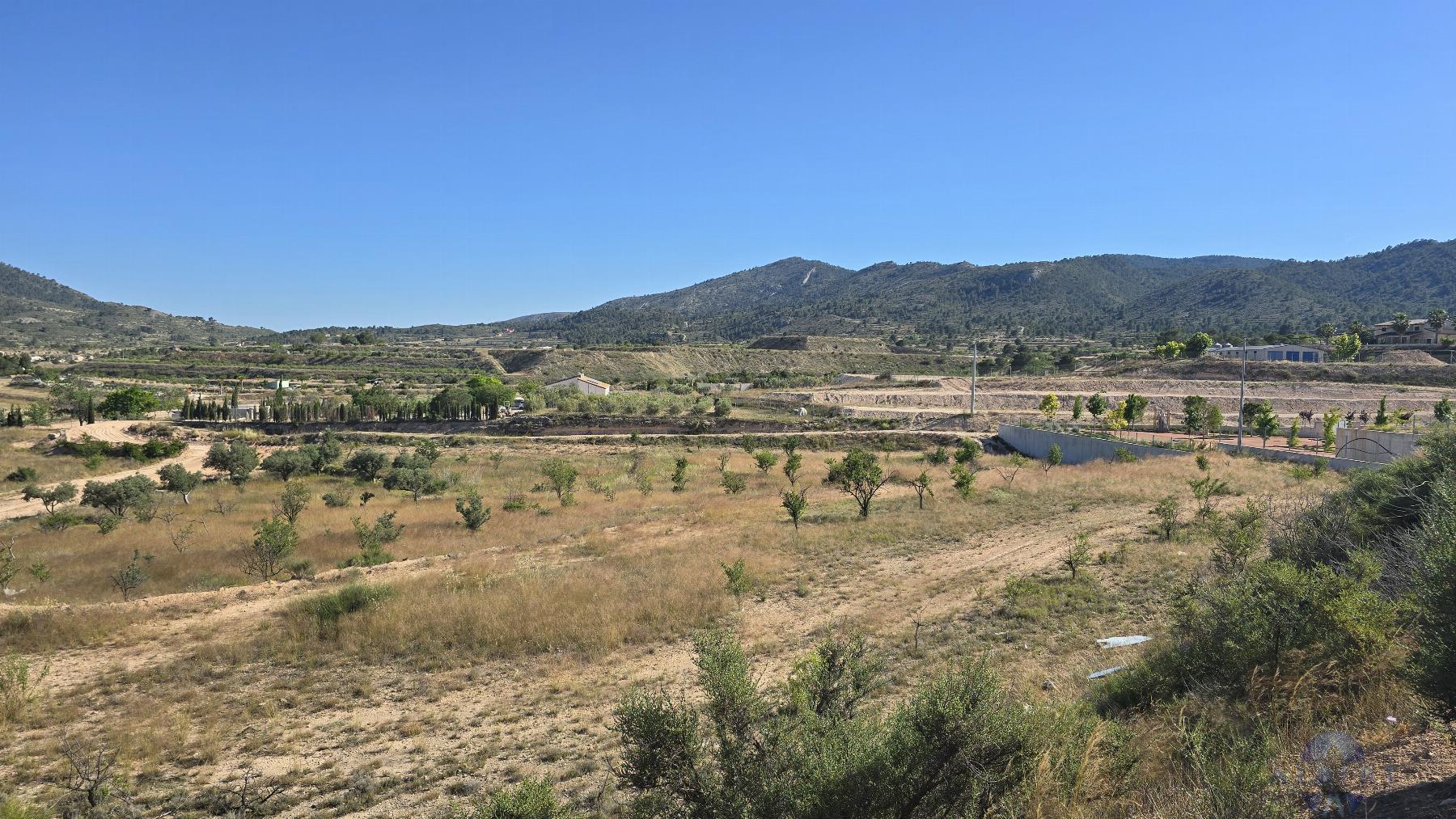 Venta de terreno en Monóvar-Monòver