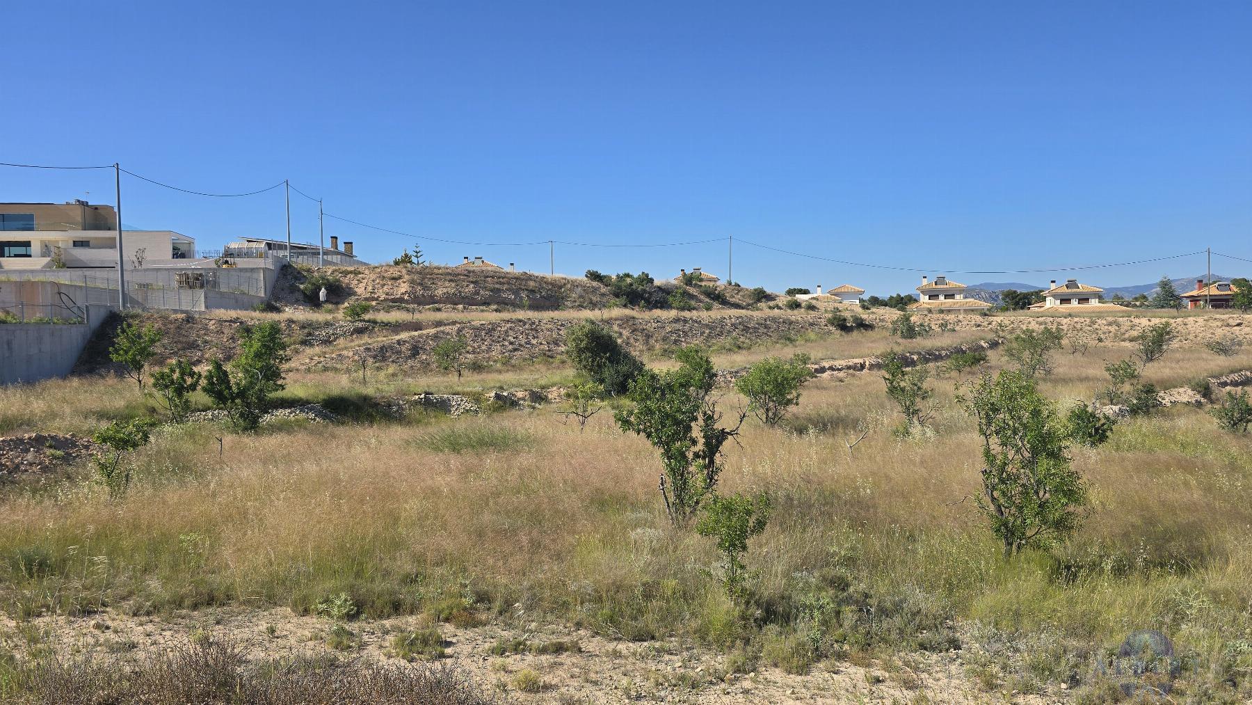 Venta de terreno en Monóvar-Monòver