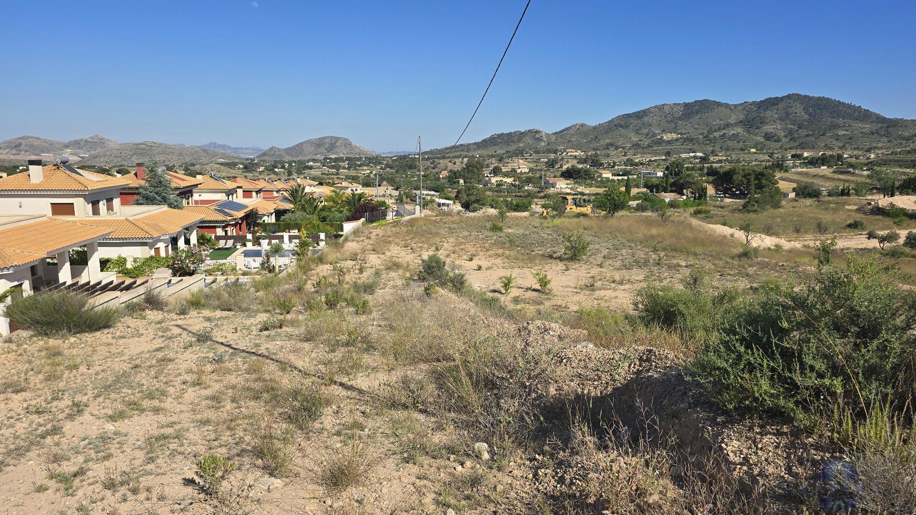 Venta de terreno en Monóvar-Monòver