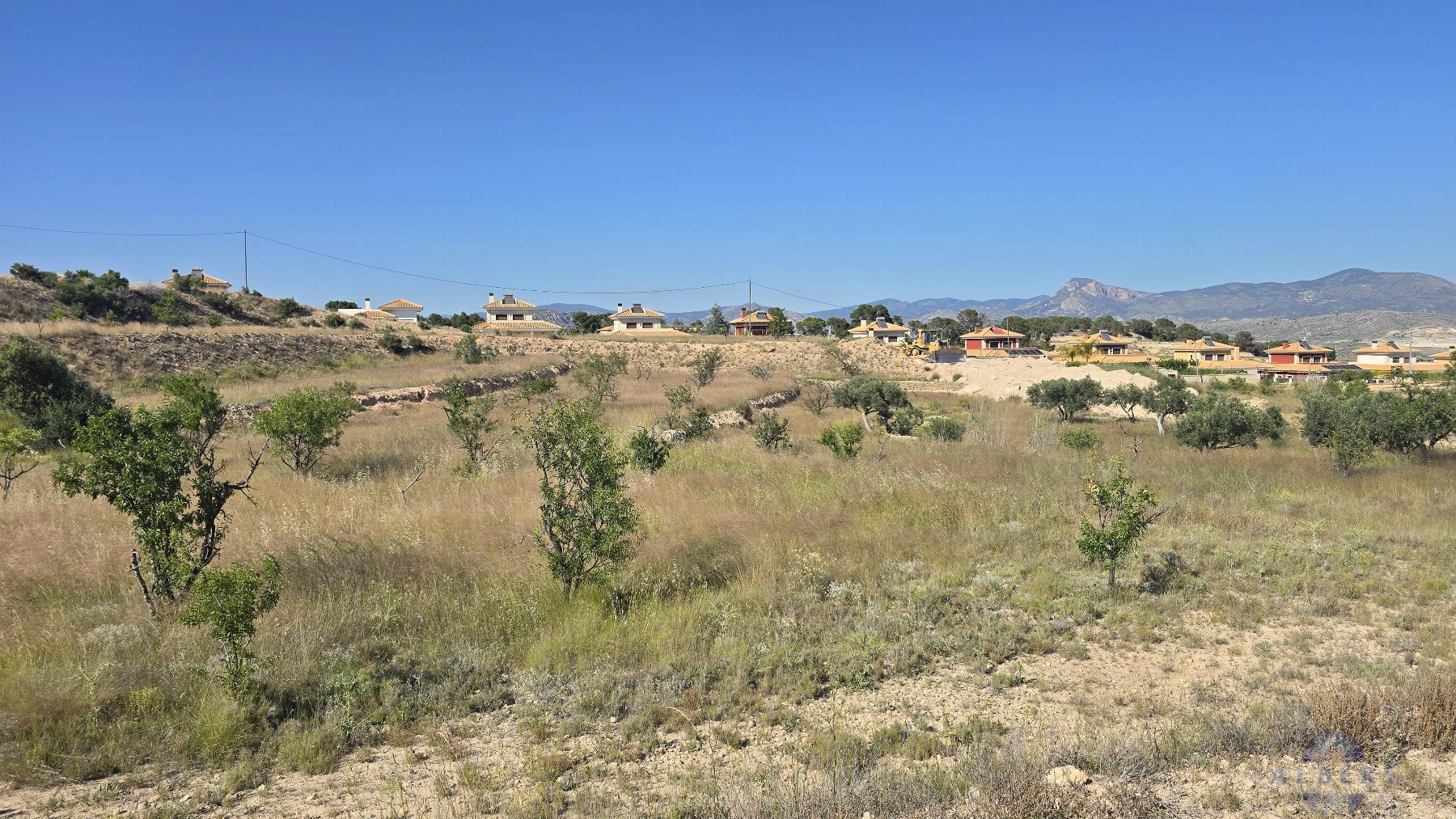 Venta de terreno en Monóvar-Monòver
