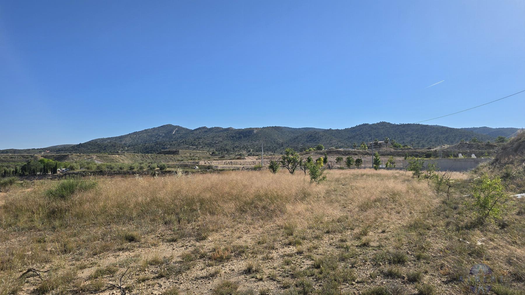 Venta de terreno en Monóvar-Monòver