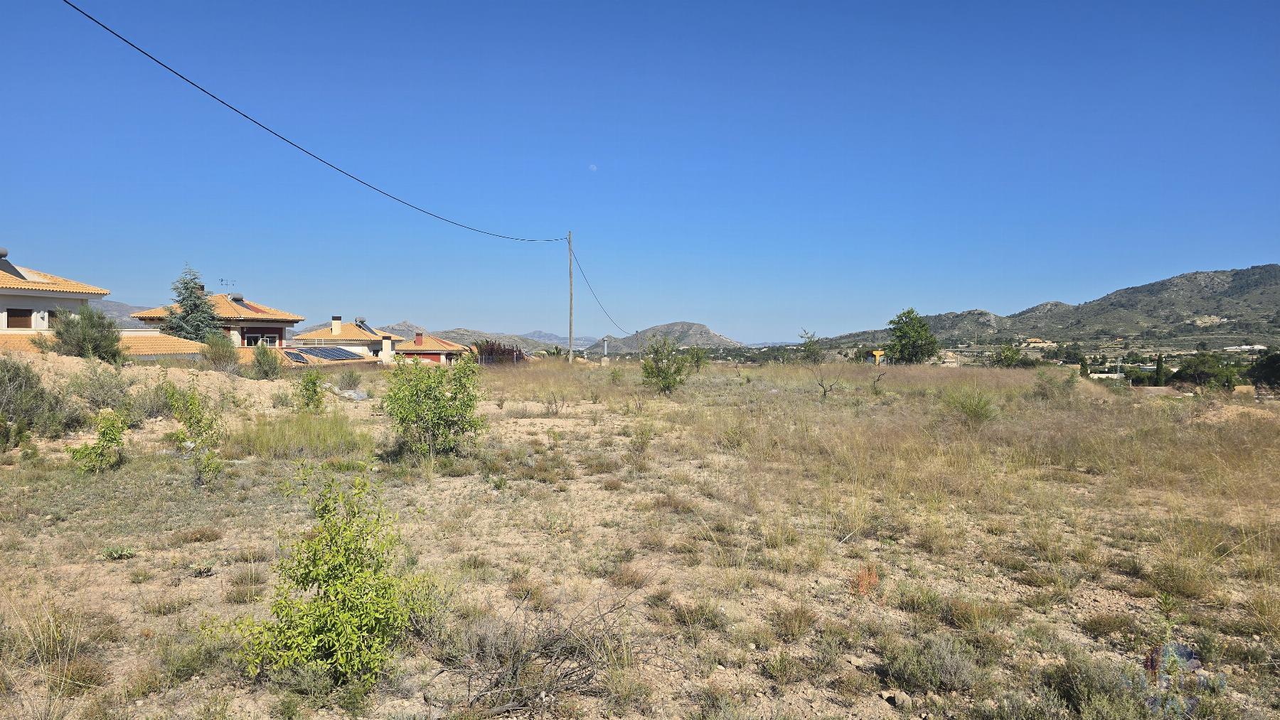 Venta de terreno en Monóvar-Monòver