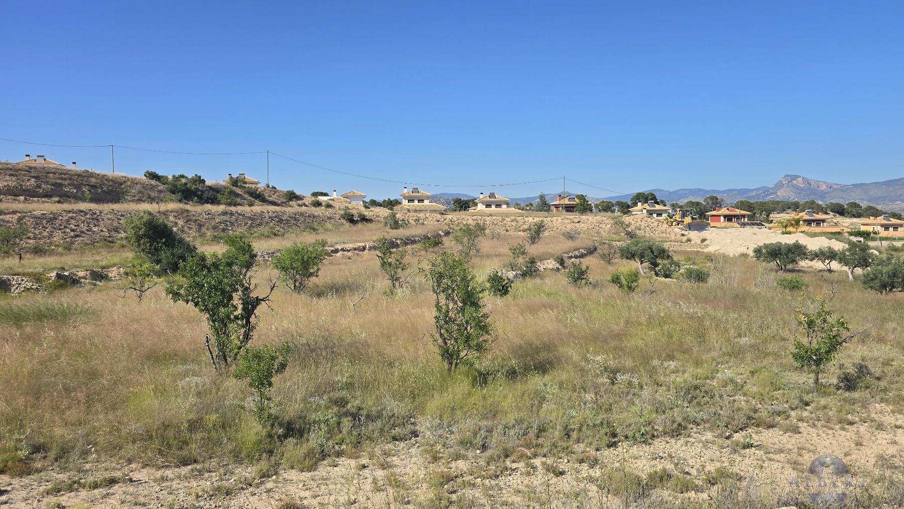 Venta de terreno en Monóvar-Monòver