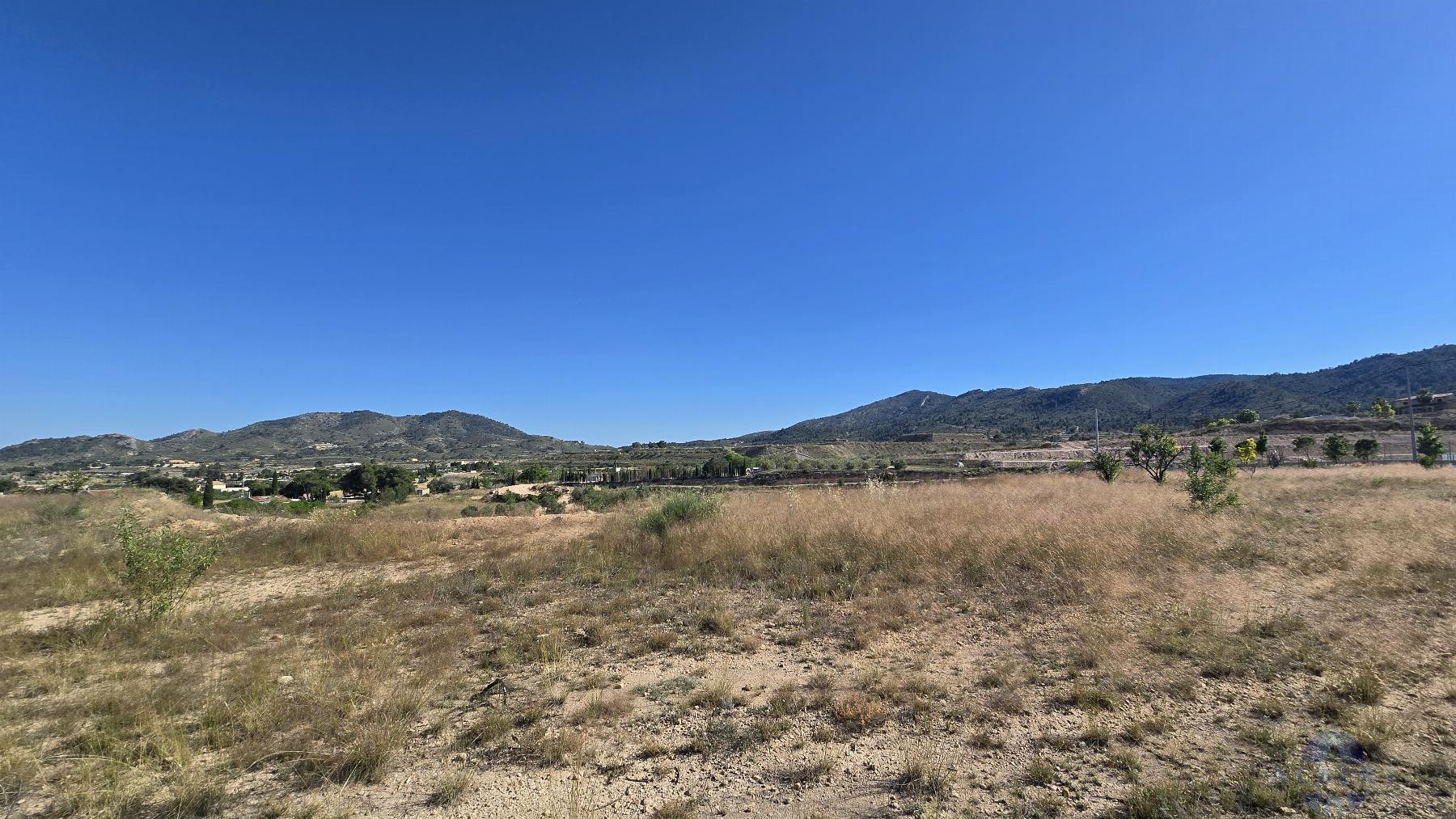 Venta de terreno en Monóvar-Monòver