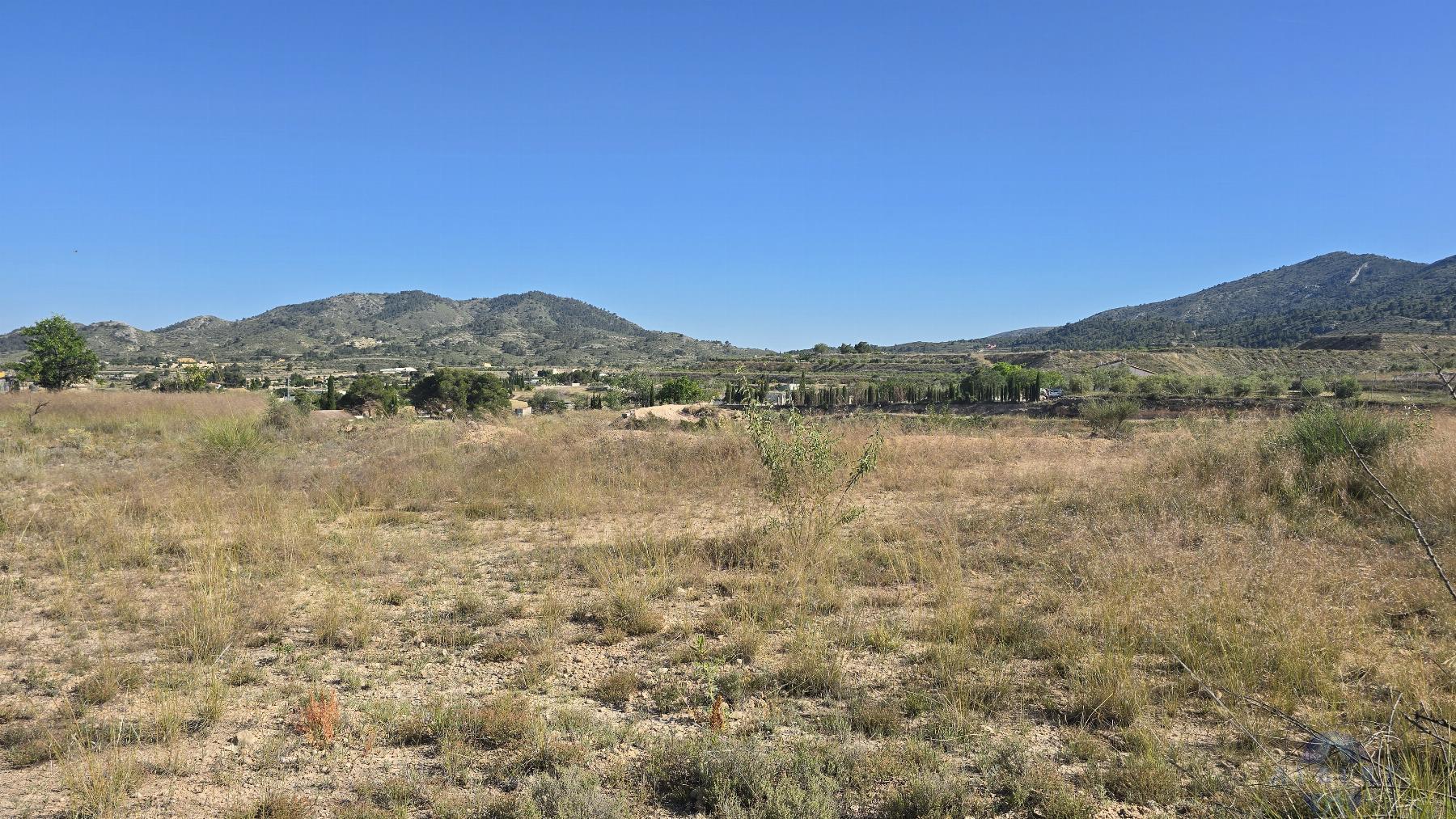 Venta de terreno en Monóvar-Monòver