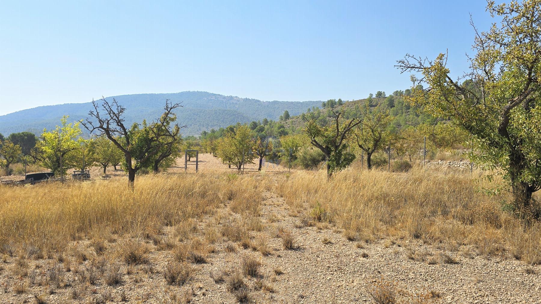 Venta de chalet en Monóvar-Monòver