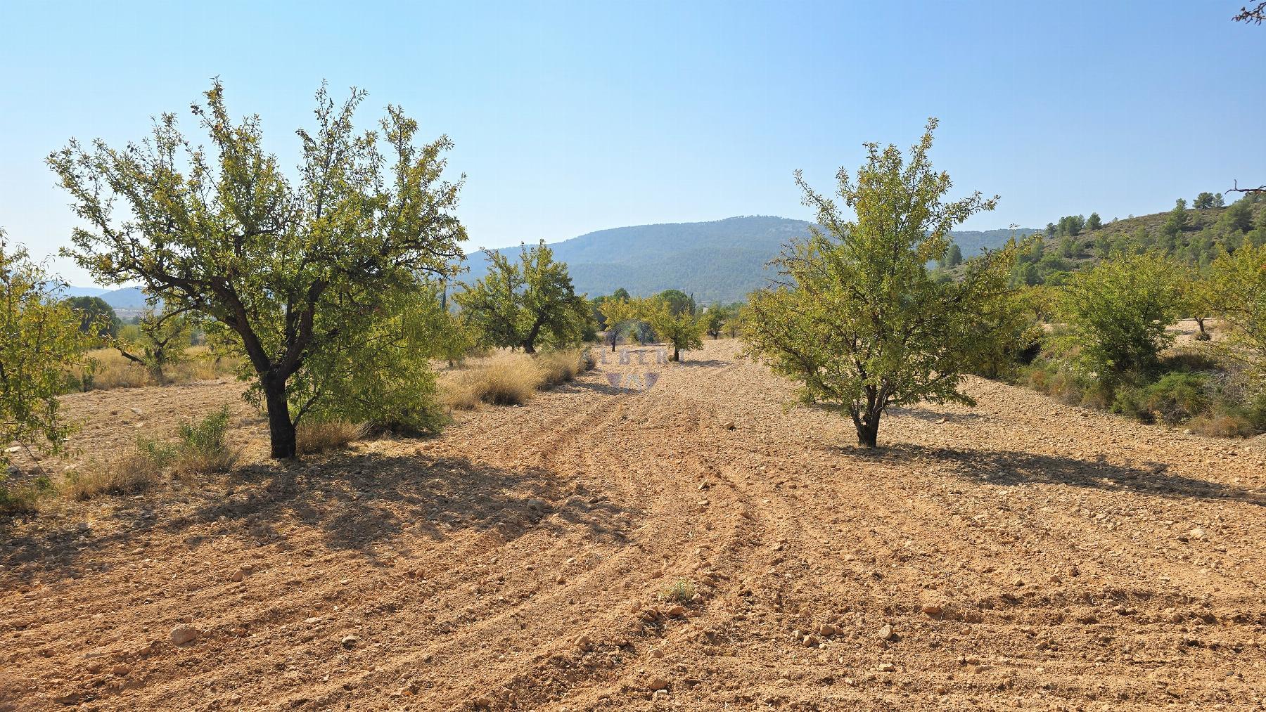 Venta de chalet en Monóvar-Monòver