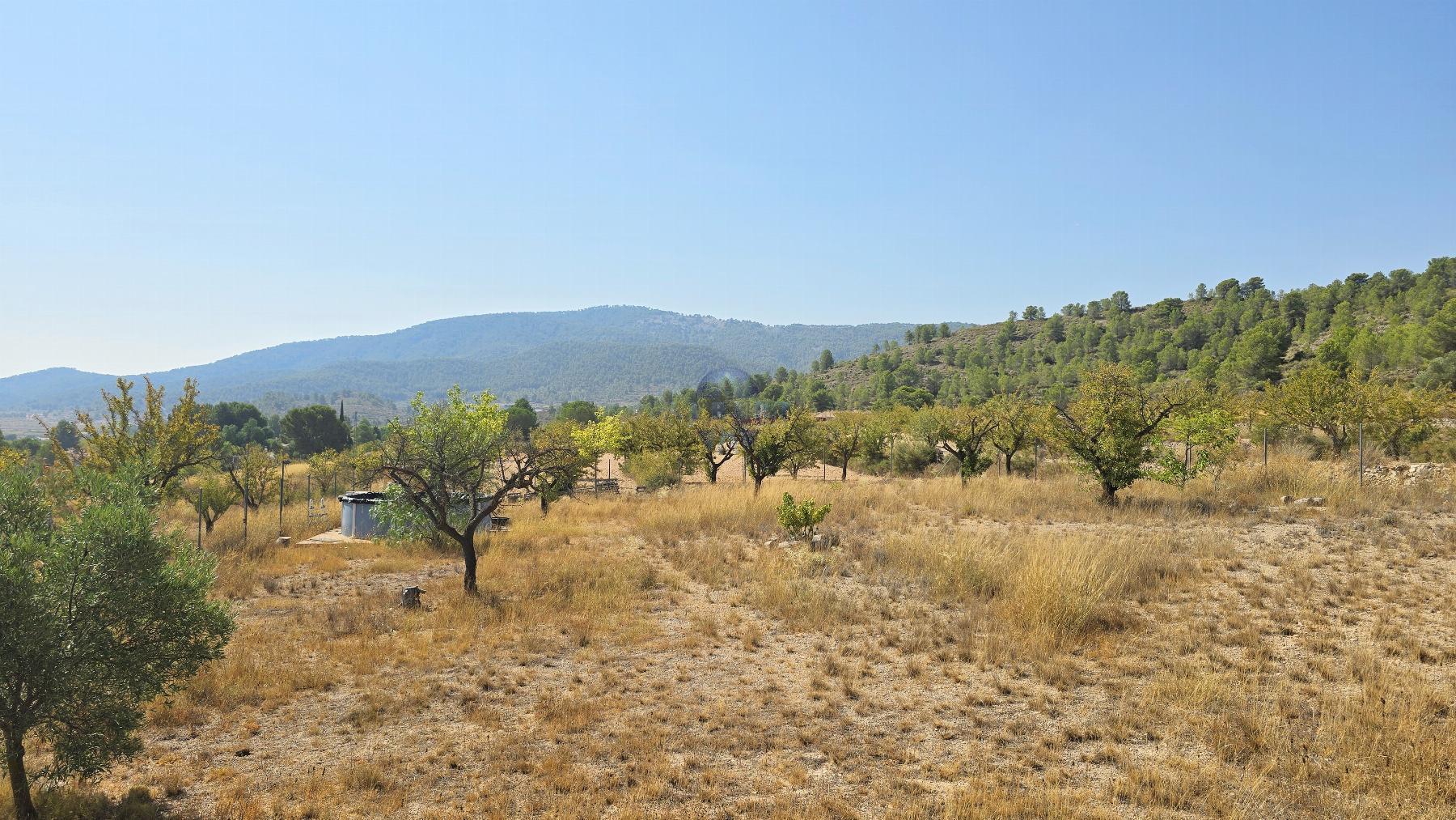Venta de chalet en Monóvar-Monòver