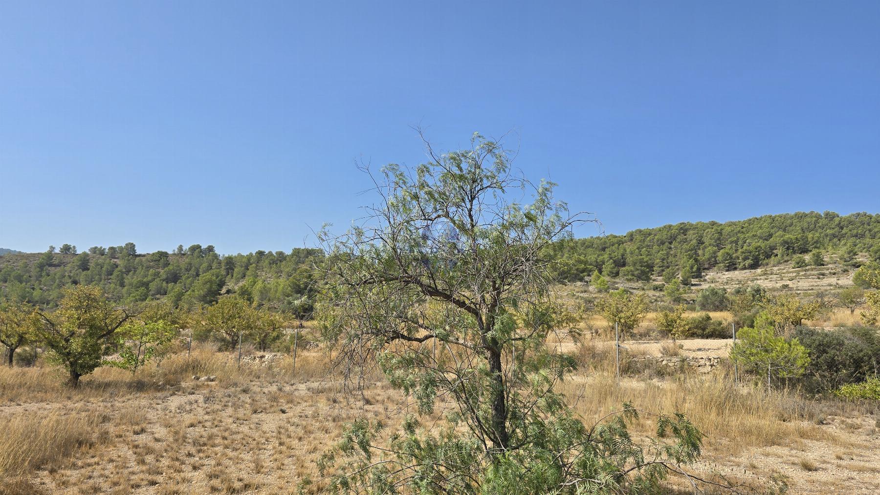 Venta de chalet en Monóvar-Monòver
