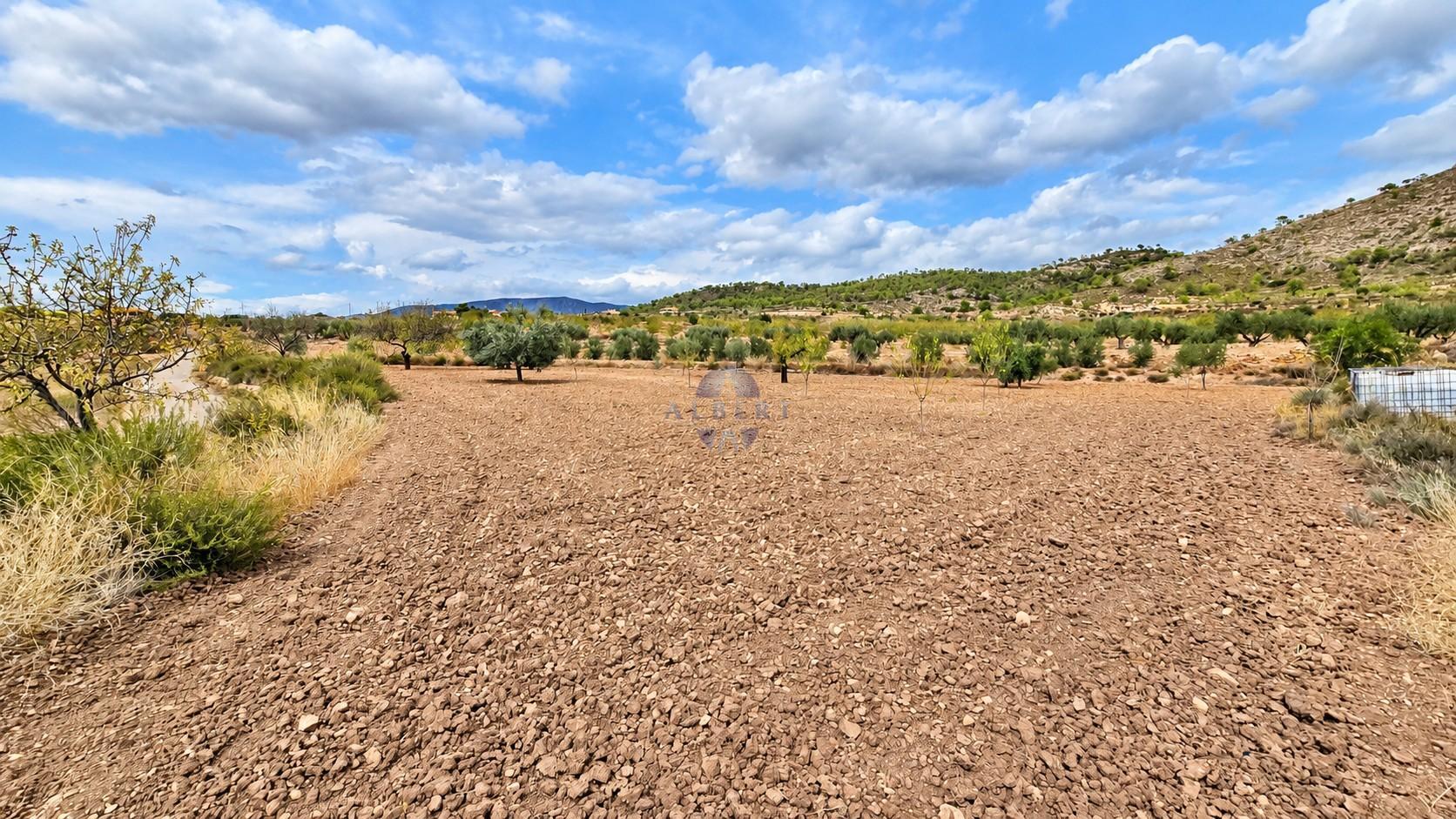 Venta de chalet en Monóvar-Monòver