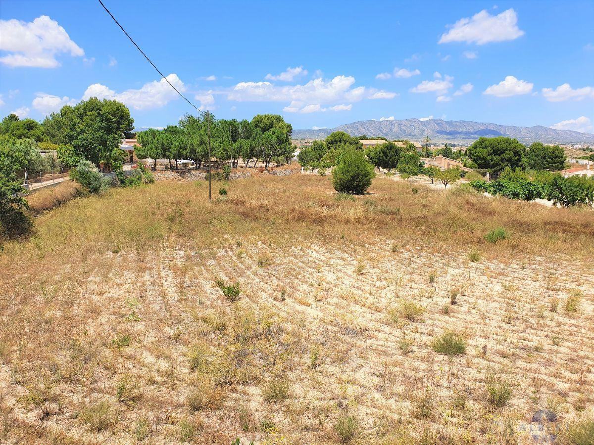 Venta de terreno en Monóvar-Monòver