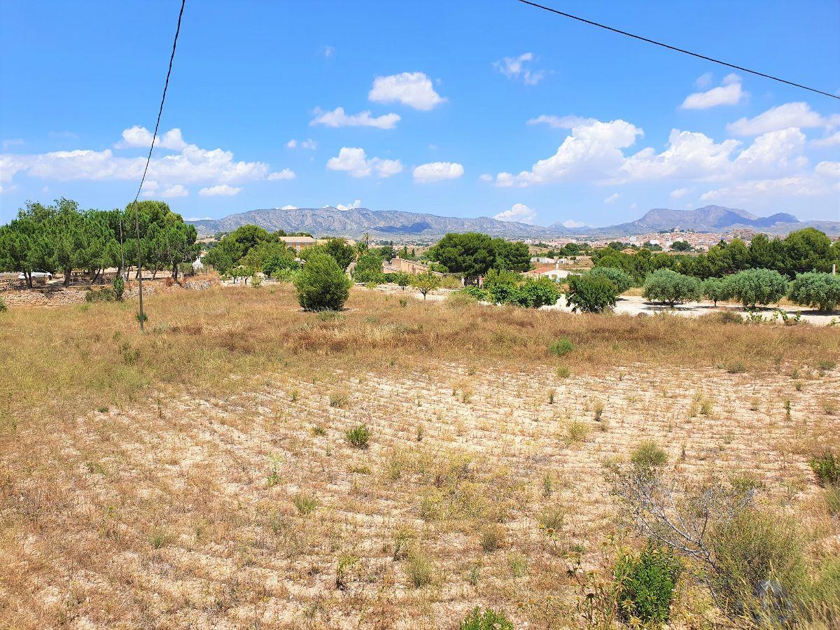 For sale of land in Monóvar-Monòver