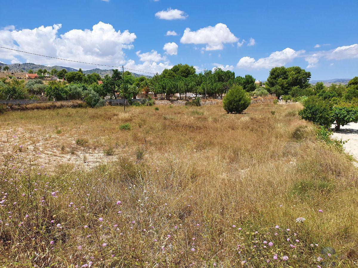 For sale of land in Monóvar-Monòver