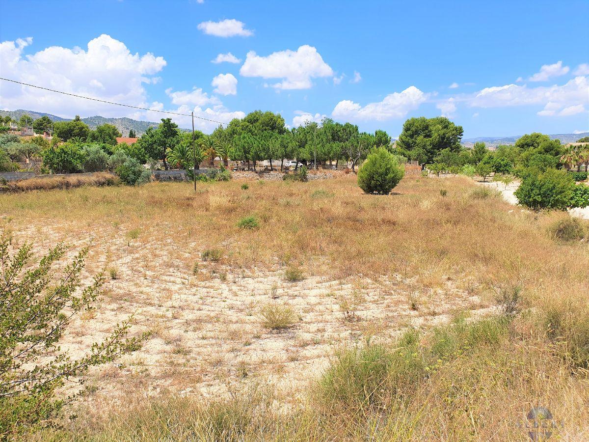 For sale of land in Monóvar-Monòver