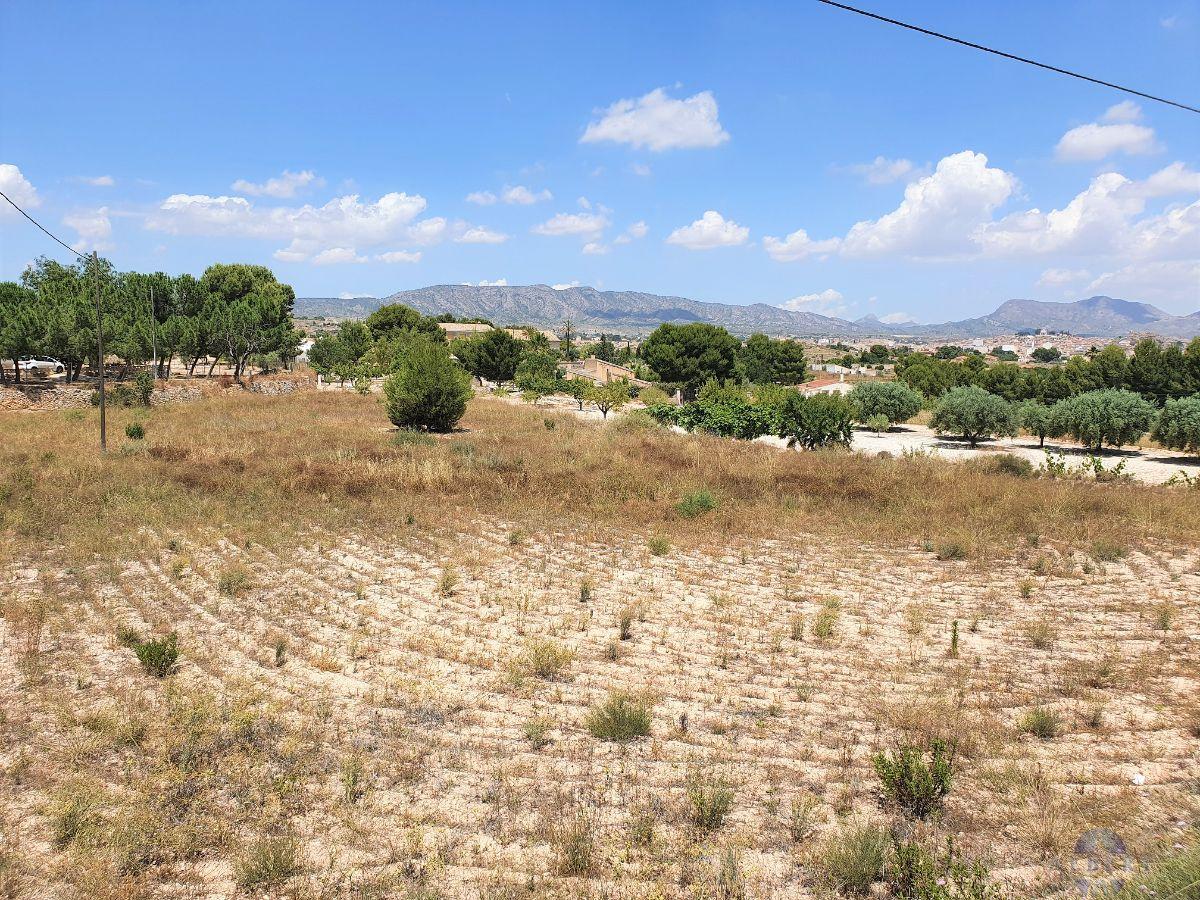 For sale of land in Monóvar-Monòver