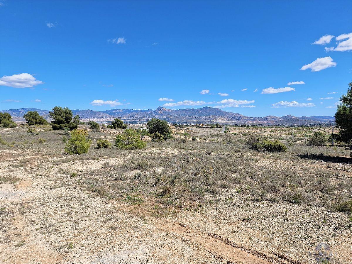 For sale of land in Monóvar-Monòver