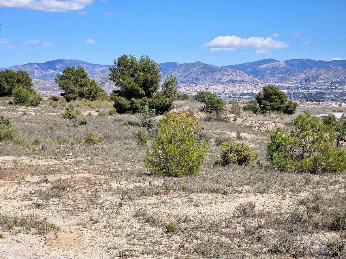 For sale of land in Monóvar-Monòver