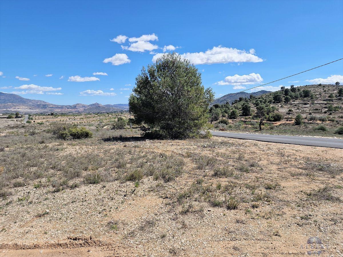 For sale of land in Monóvar-Monòver