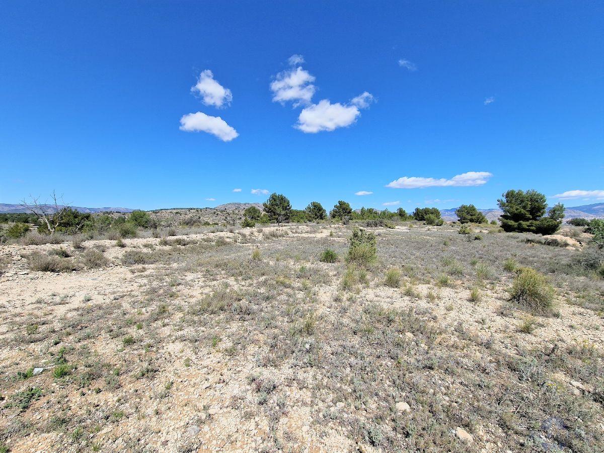 For sale of land in Monóvar-Monòver