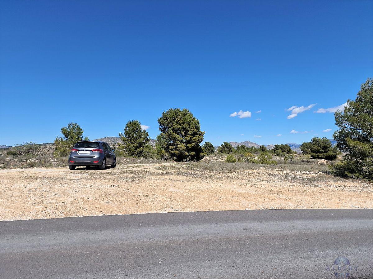 Venta de terreno en Monóvar-Monòver