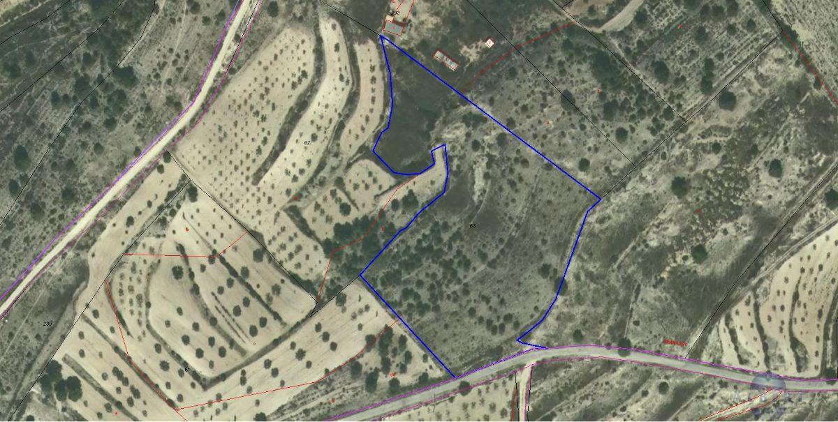 For sale of land in Monóvar-Monòver