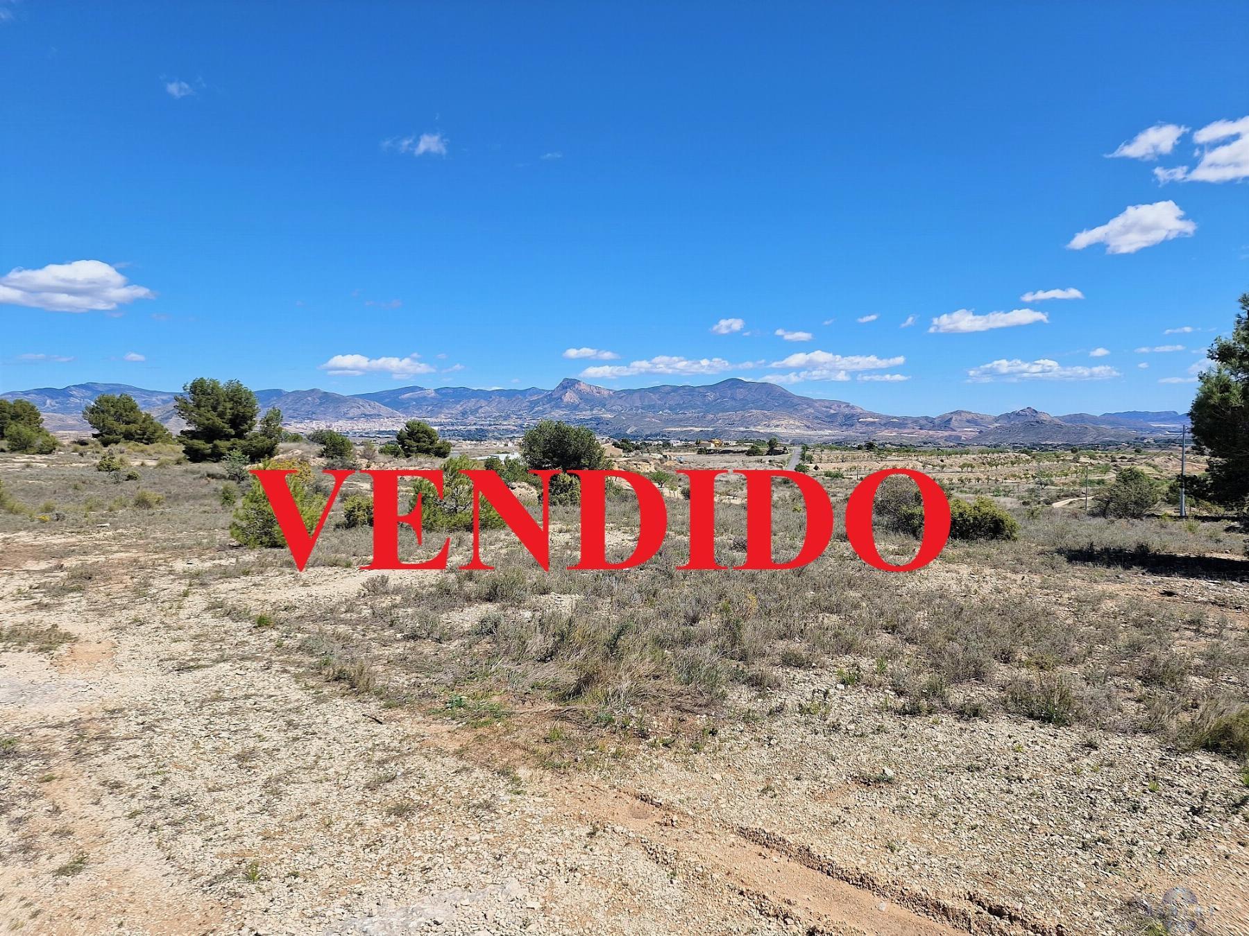 Venta de terreno en Monóvar-Monòver