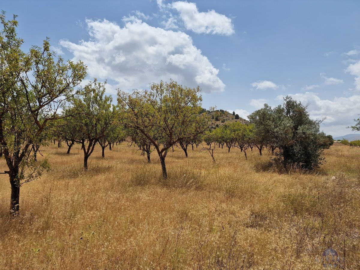 For sale of land in Monóvar-Monòver