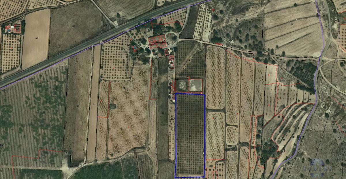 For sale of land in Monóvar-Monòver