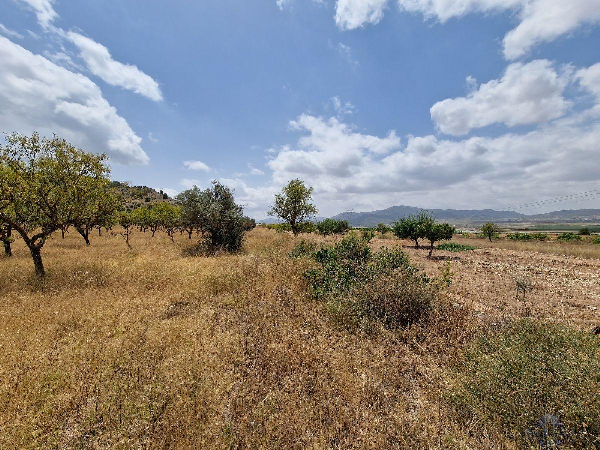 For sale of land in Monóvar-Monòver