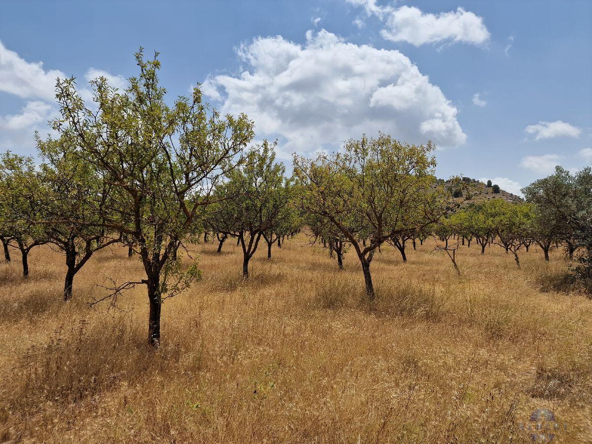 For sale of land in Monóvar-Monòver