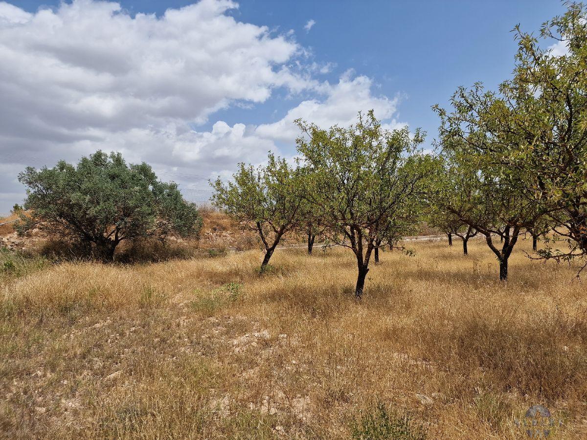 For sale of land in Monóvar-Monòver