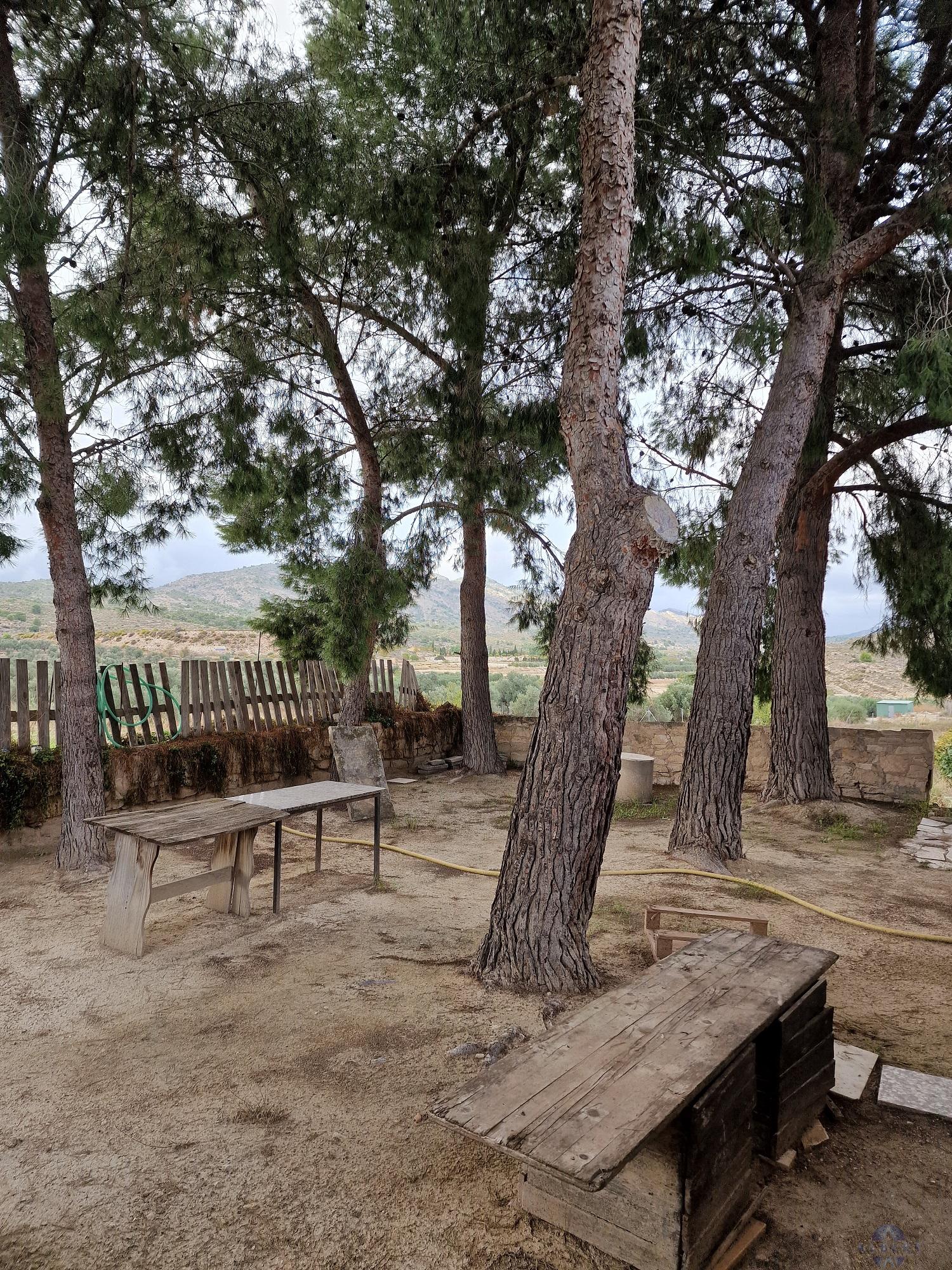 Venta de chalet en Monóvar-Monòver