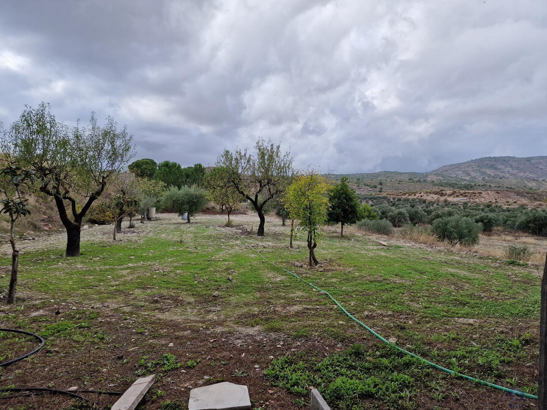Venta de chalet en Monóvar-Monòver