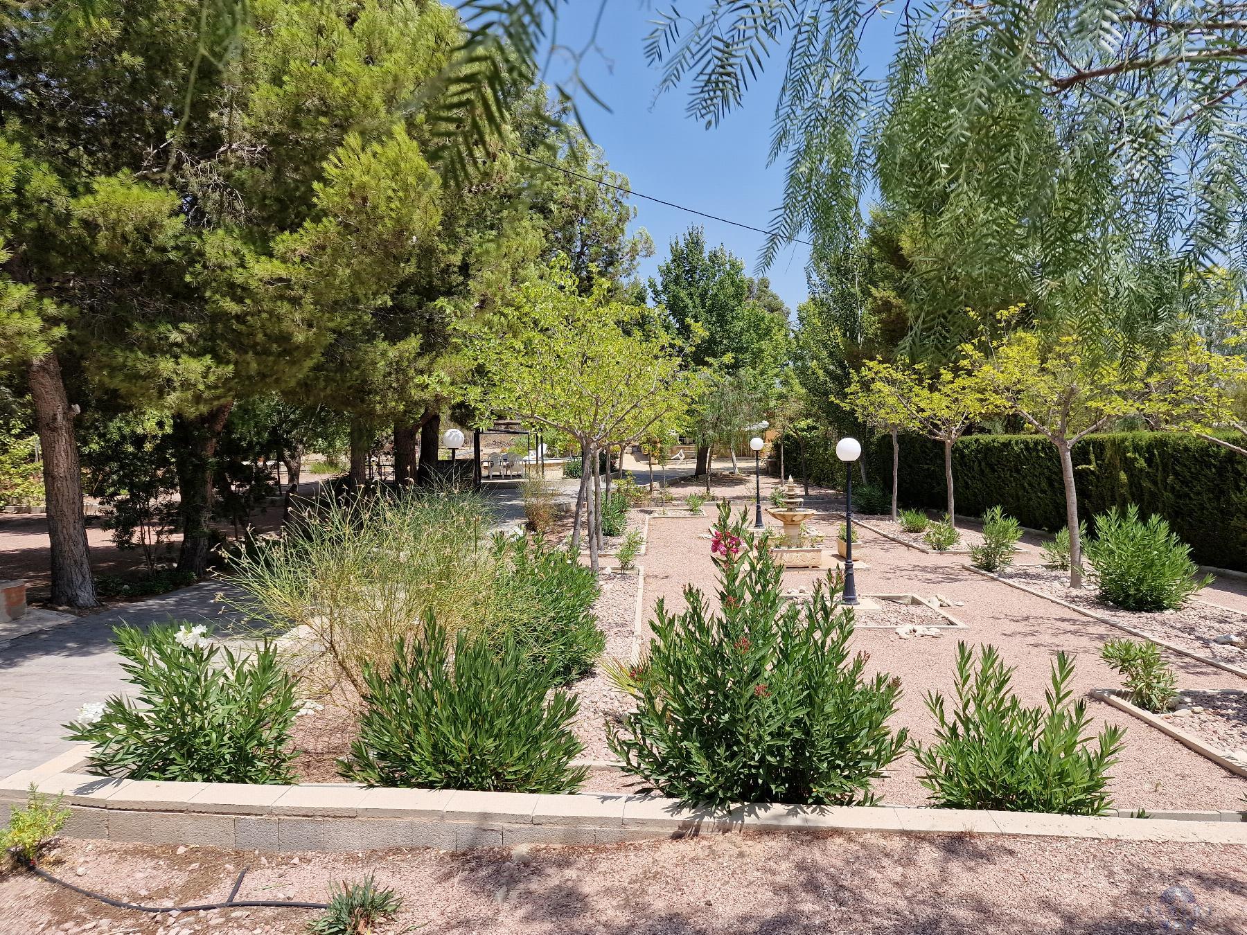 Venta de chalet en Monóvar-Monòver