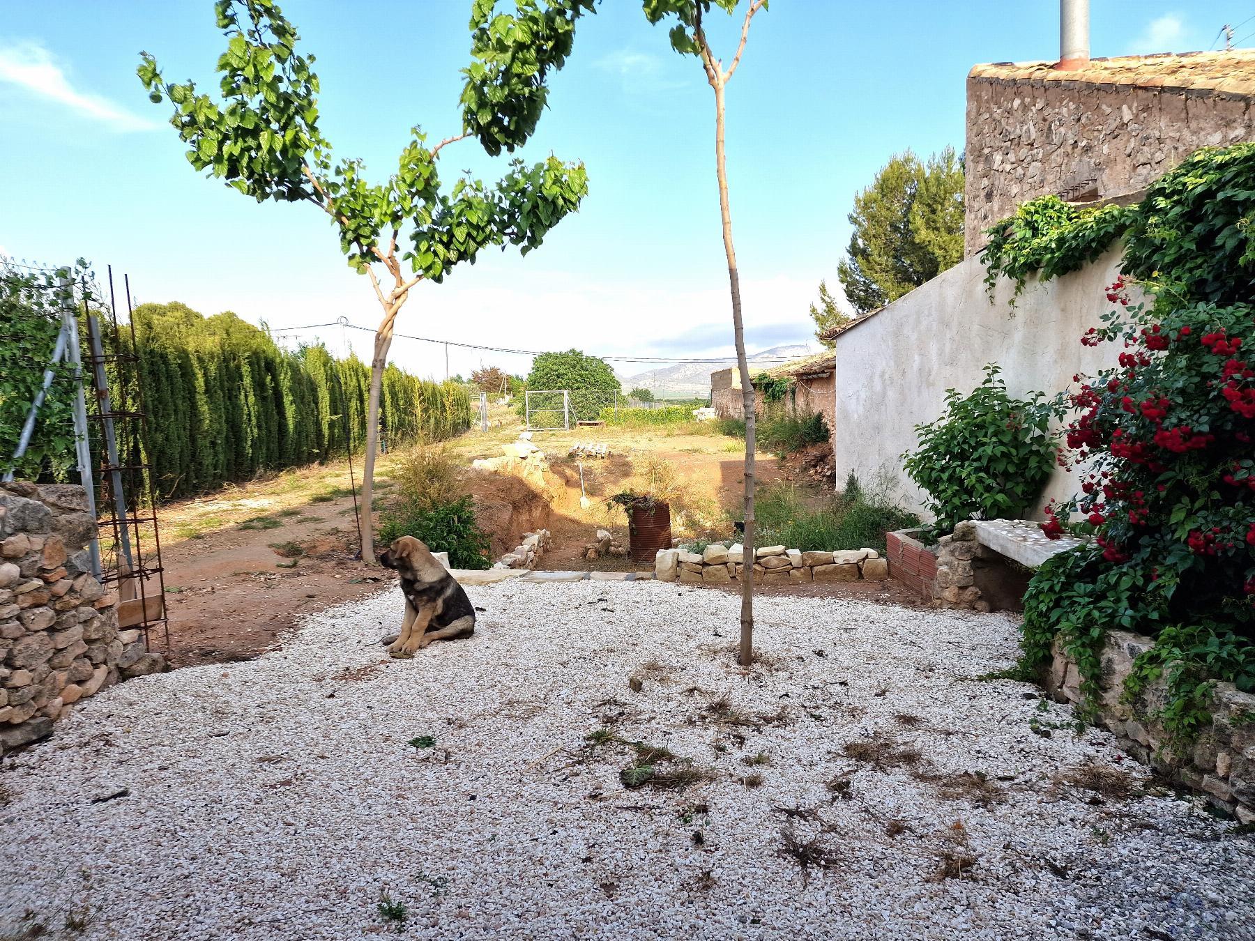 For sale of chalet in Monóvar-Monòver