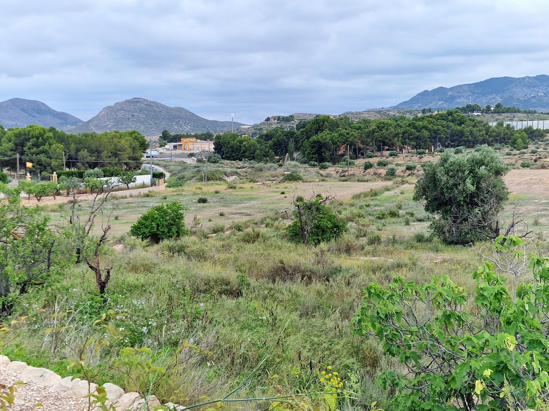 For sale of chalet in Monóvar-Monòver