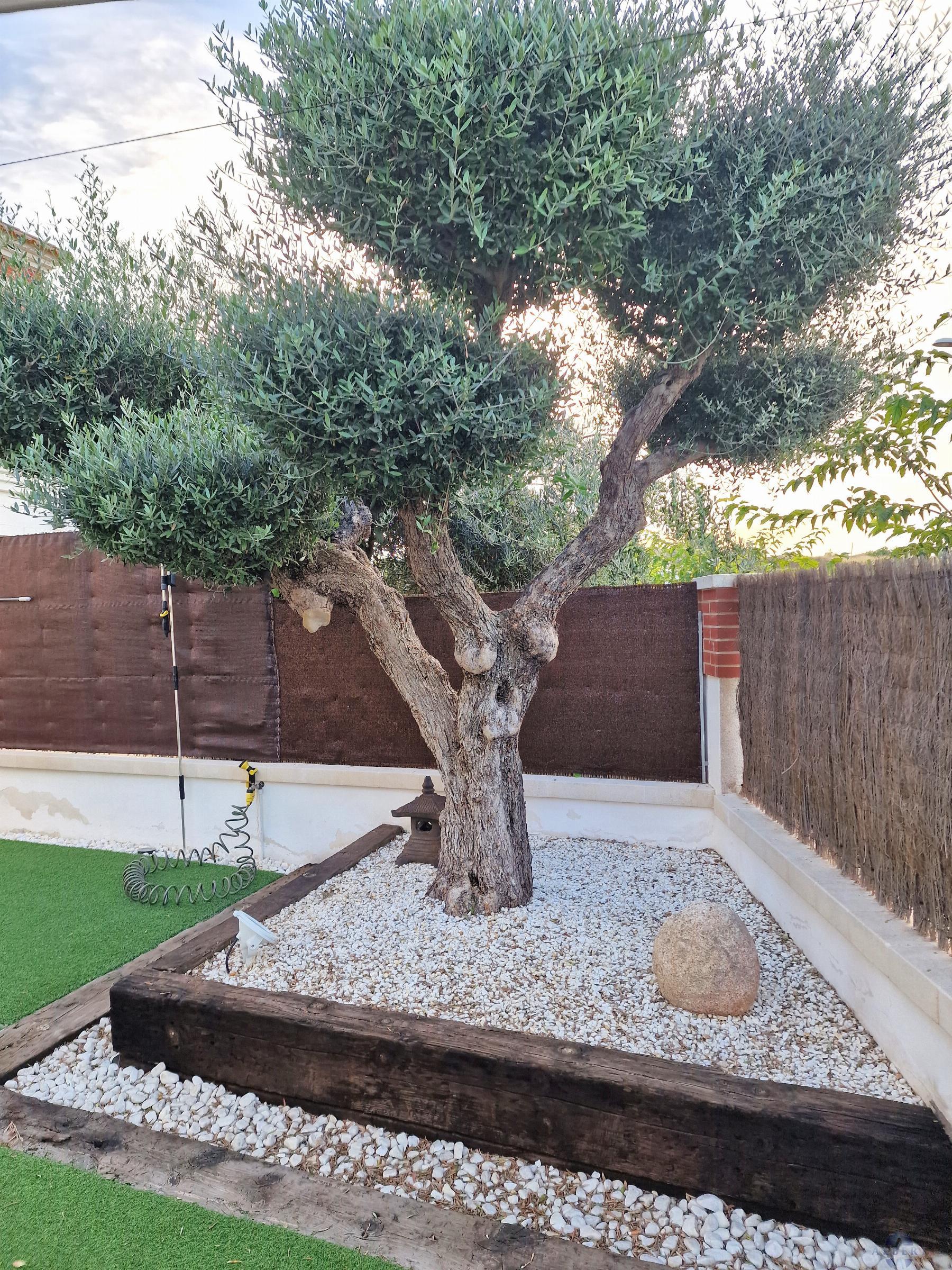 For sale of house in Monóvar-Monòver