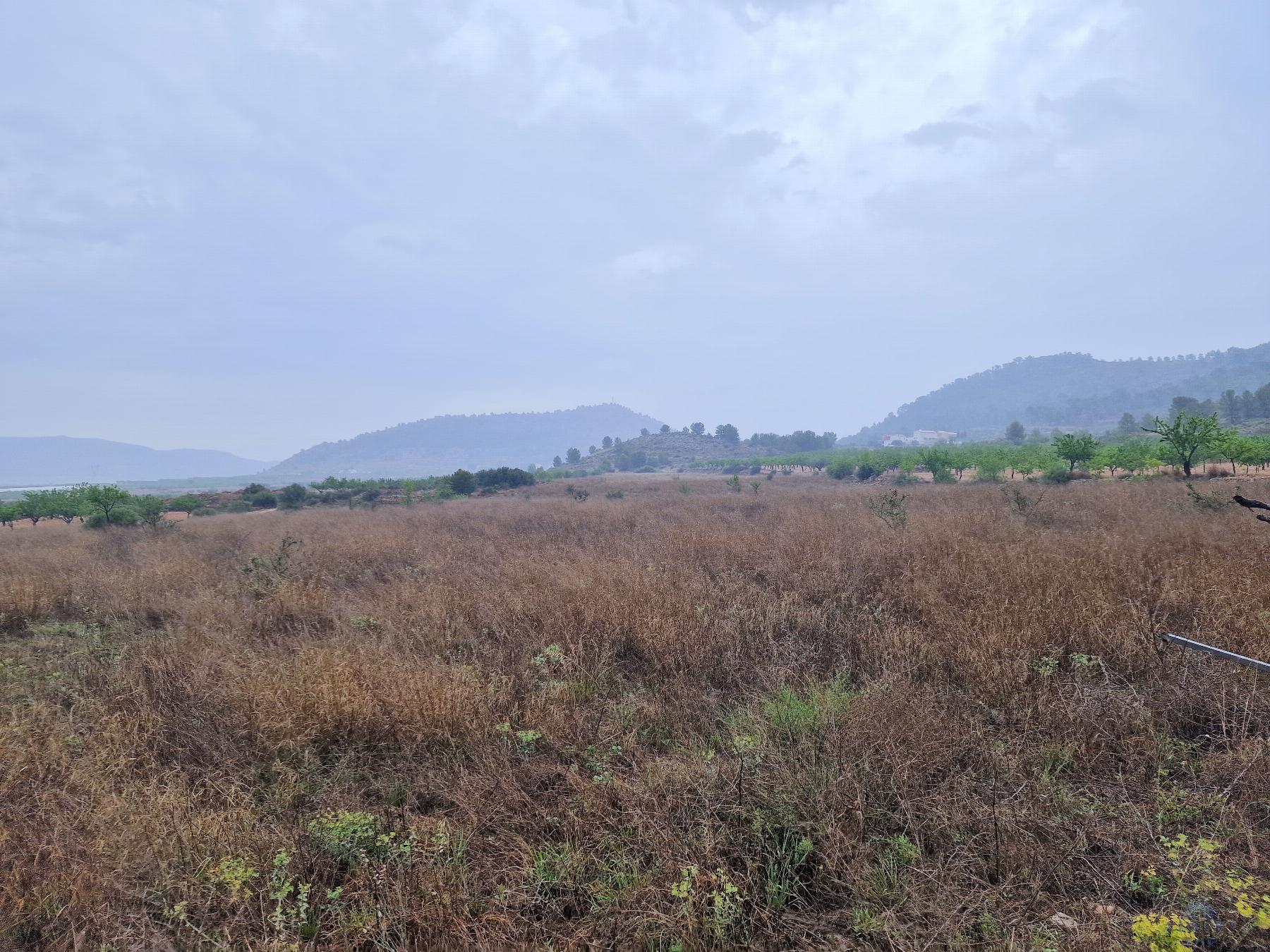 For sale of house in Monóvar-Monòver