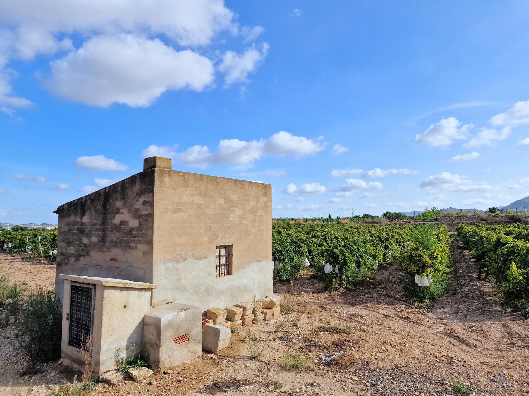 Venta de terreno en Novelda