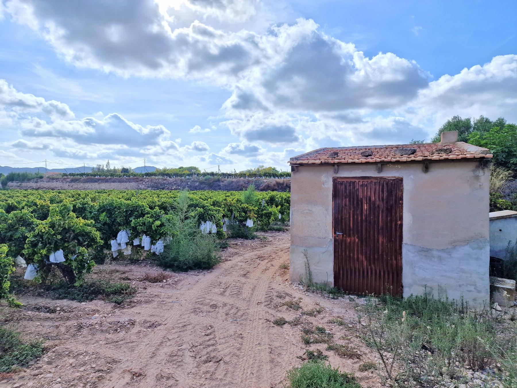For sale of land in Novelda
