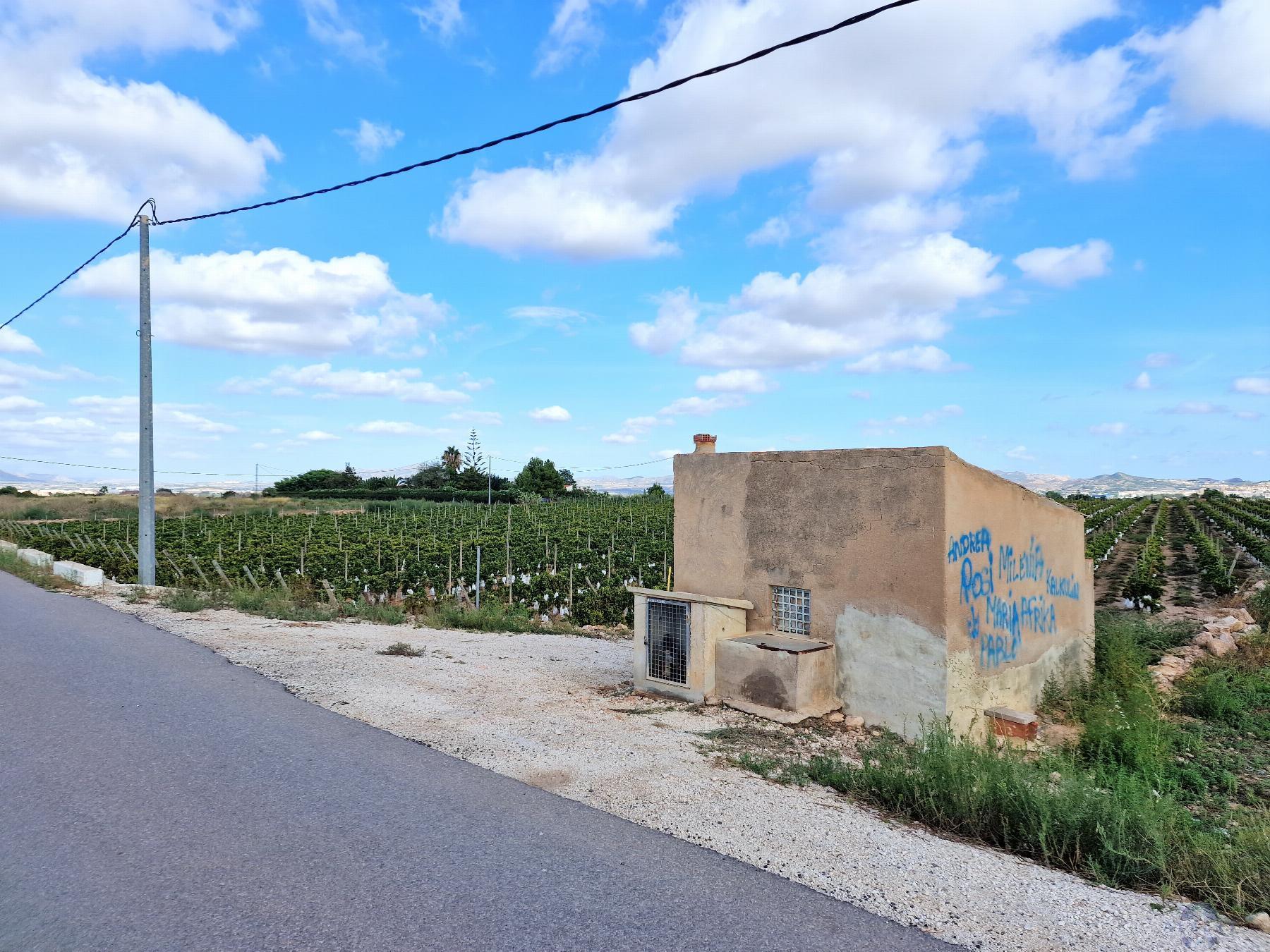 For sale of land in Novelda