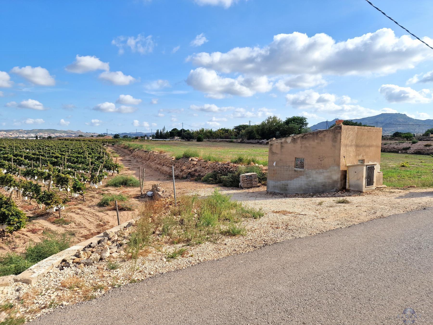 For sale of land in Novelda