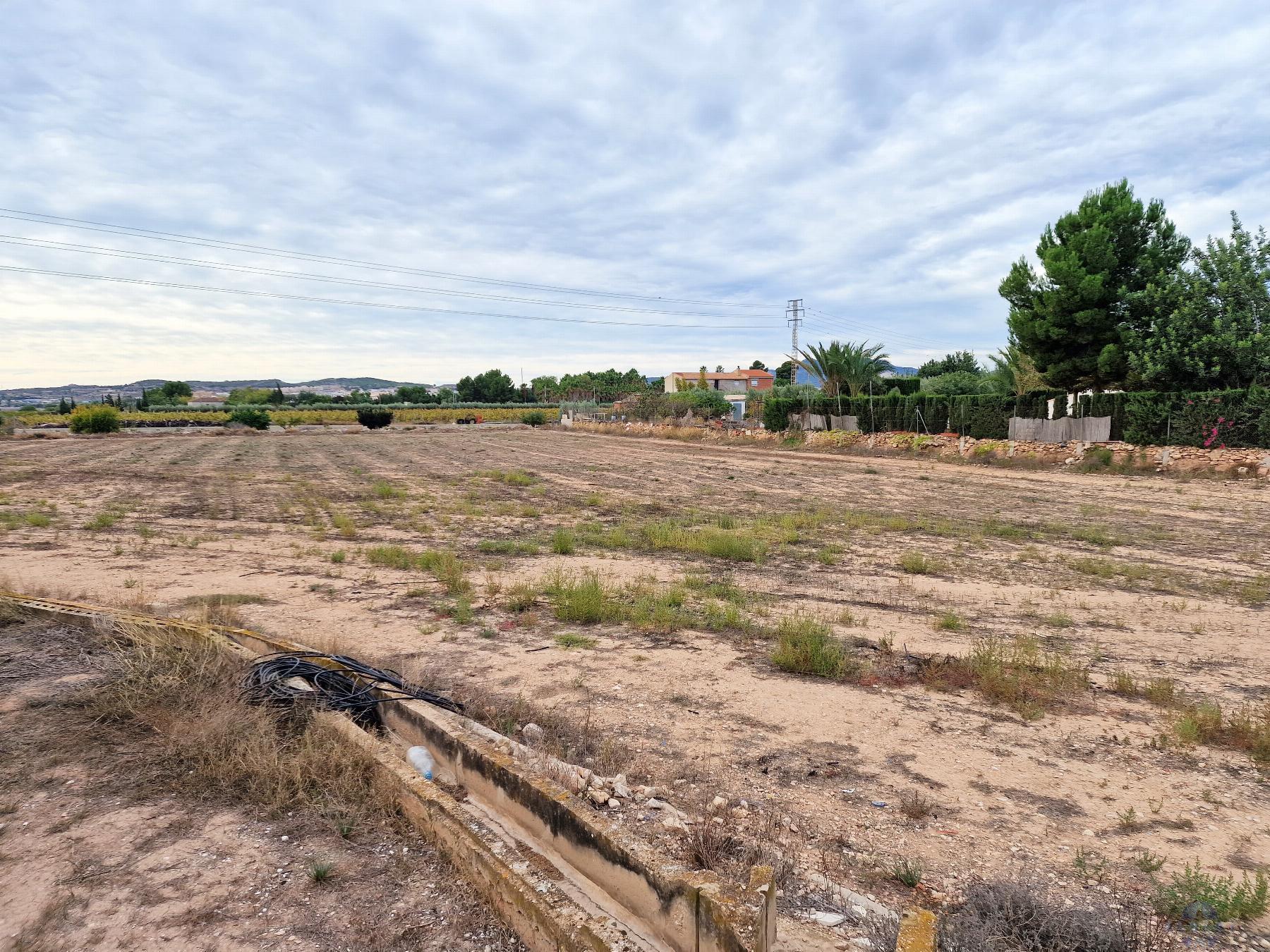 For sale of land in Novelda