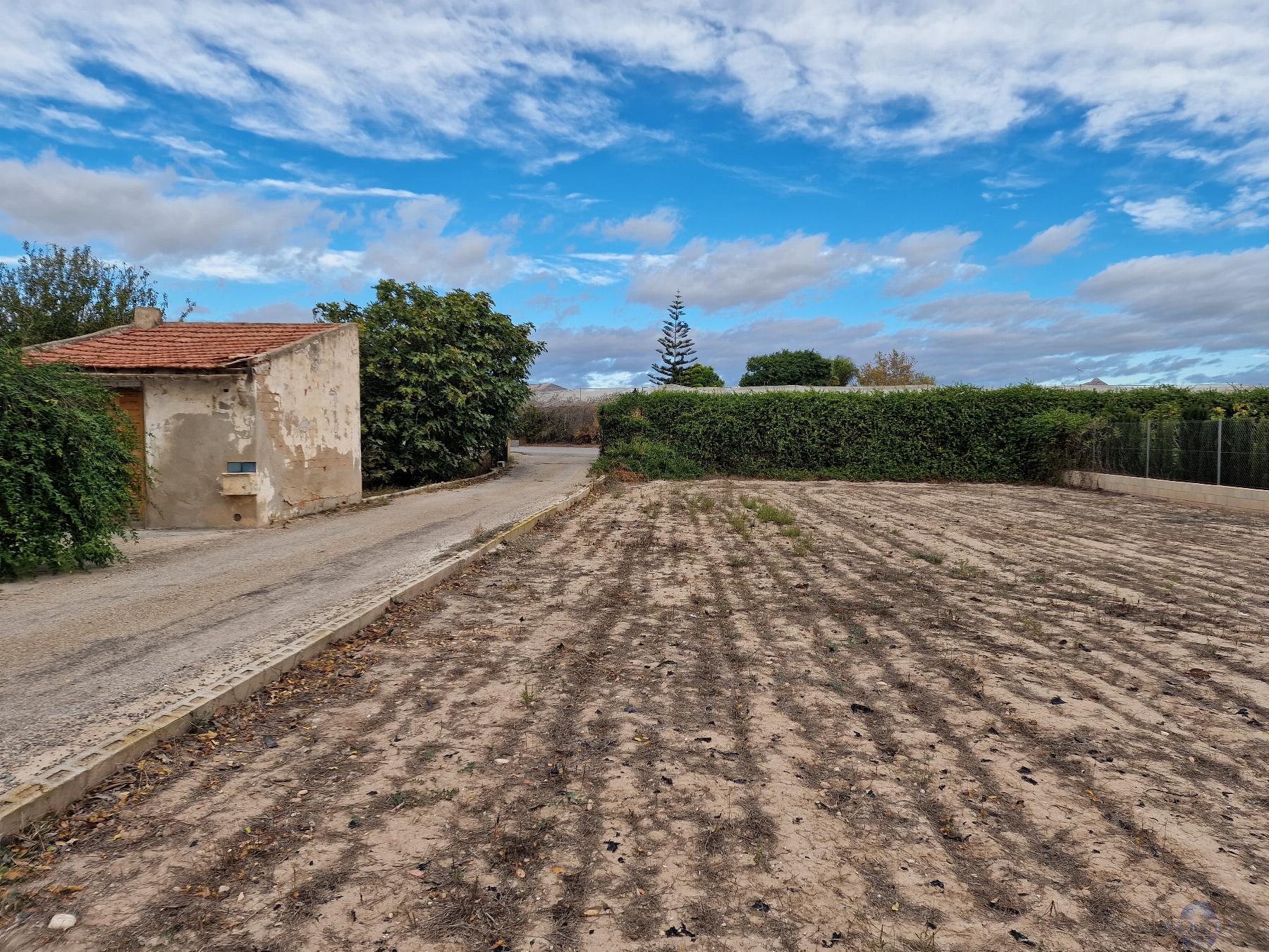 For sale of land in Novelda